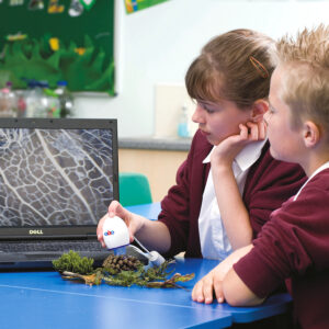 Product photography at gorsemoor primary school in cannock on 14/7/11