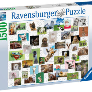 Ravensburgeri esmaklassilise kvaliteediga pusled. Iga pusletükk on erinev
