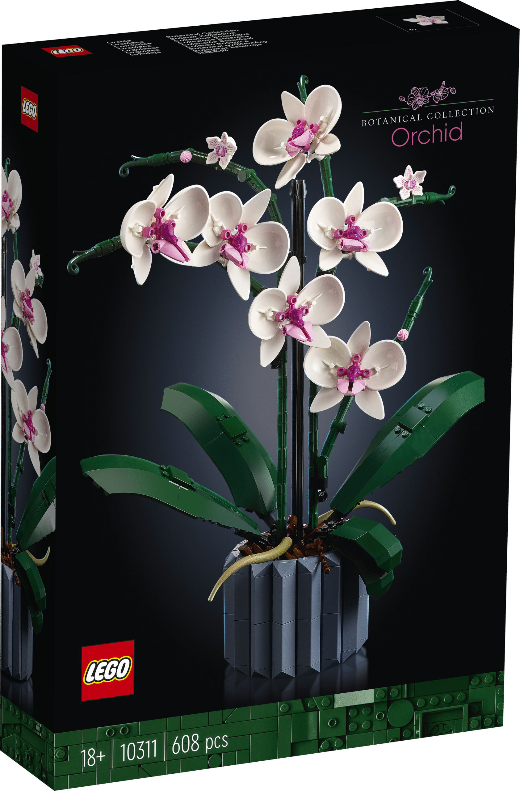 LEGO Botanical Collection Orhidee Selle täiskasvanutele loodud mõtestatud ehitusprojekti käigus saad omale koju luua pilkupüüdva orhideeväljapaneku.