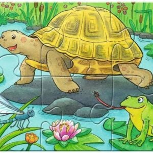 Kilpkonn ja jänku