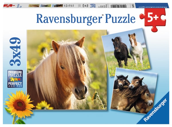 Ravensburger pusle 3x49 tk: Armsad hobused Paatidest laevadeni