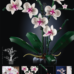 LEGO Botanical Collection Orhidee