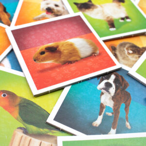 Tactic lauamäng Memo Loomad