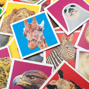 Tactic lauamäng Memo Metsloomad