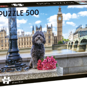 Tactic pusle 500 tk Koer Londonis