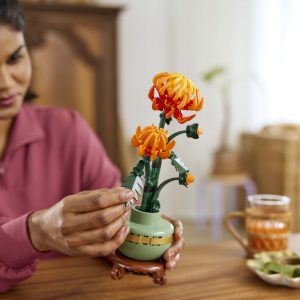 LEGO Botanical Collection Krüsanteem