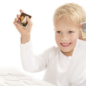 Tactic lauamäng Memo Loomalapsed