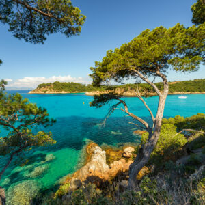 Ravensburger pusle 500 tk Kaunis vaade