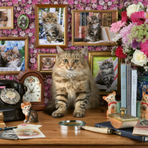 Ravensburger pusle 1000 tk: minu armas kassike