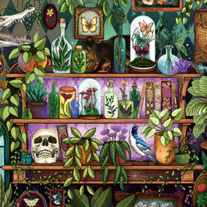 Ravensburger pusle 2000 tk Võluri riiul