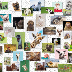 Ravensburger pusle 1500 tk Naljakad loomad