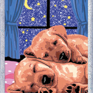 Ravensburger maalimine numbrite järgi Maga hästi!