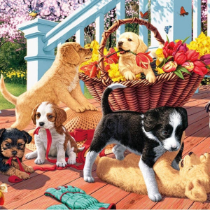 Dino peitepusle 1000 tk Kutsikad