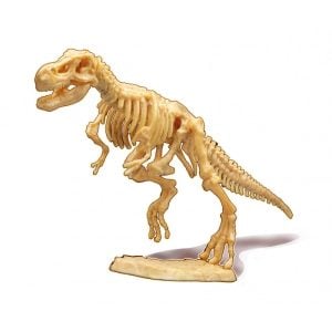 Buki kaevanda Türannosaurus